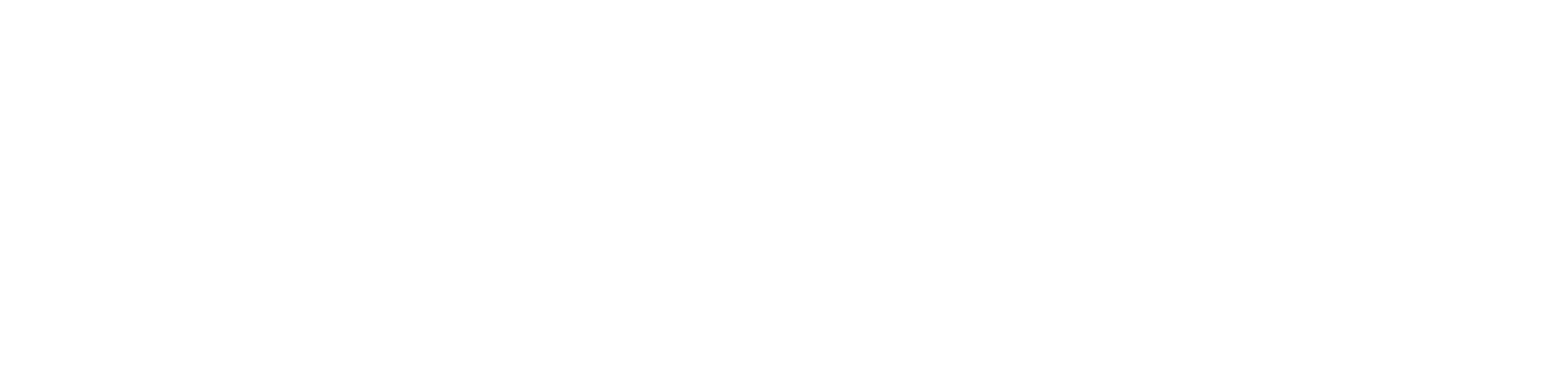 Cani Bravo - Comida de verdade