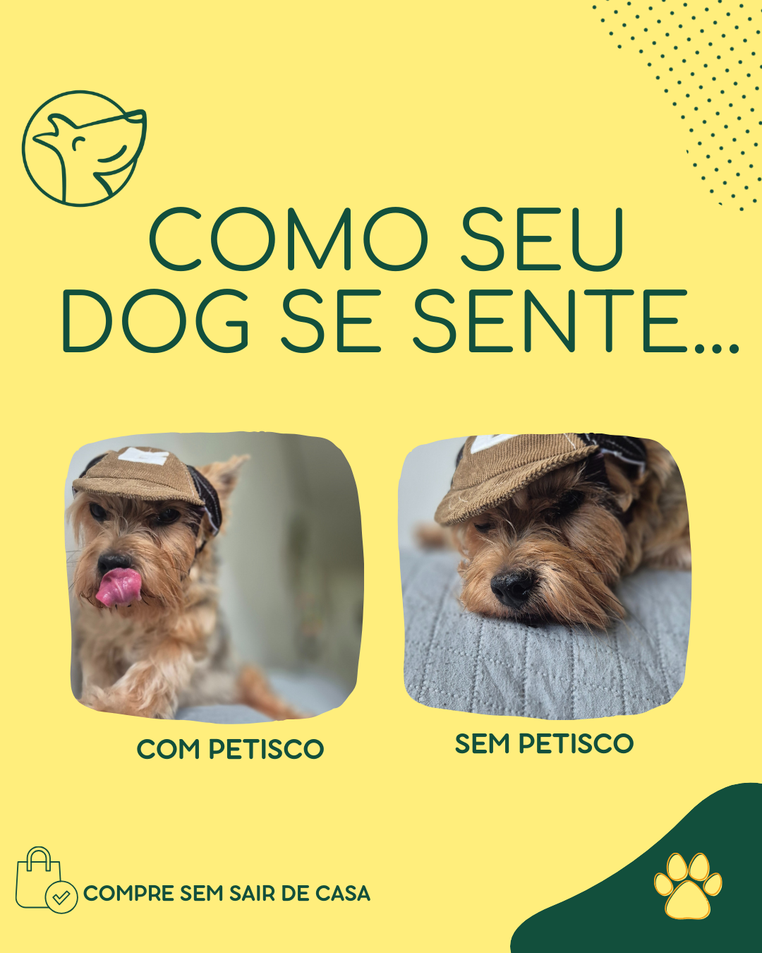 Festas de Aniversário