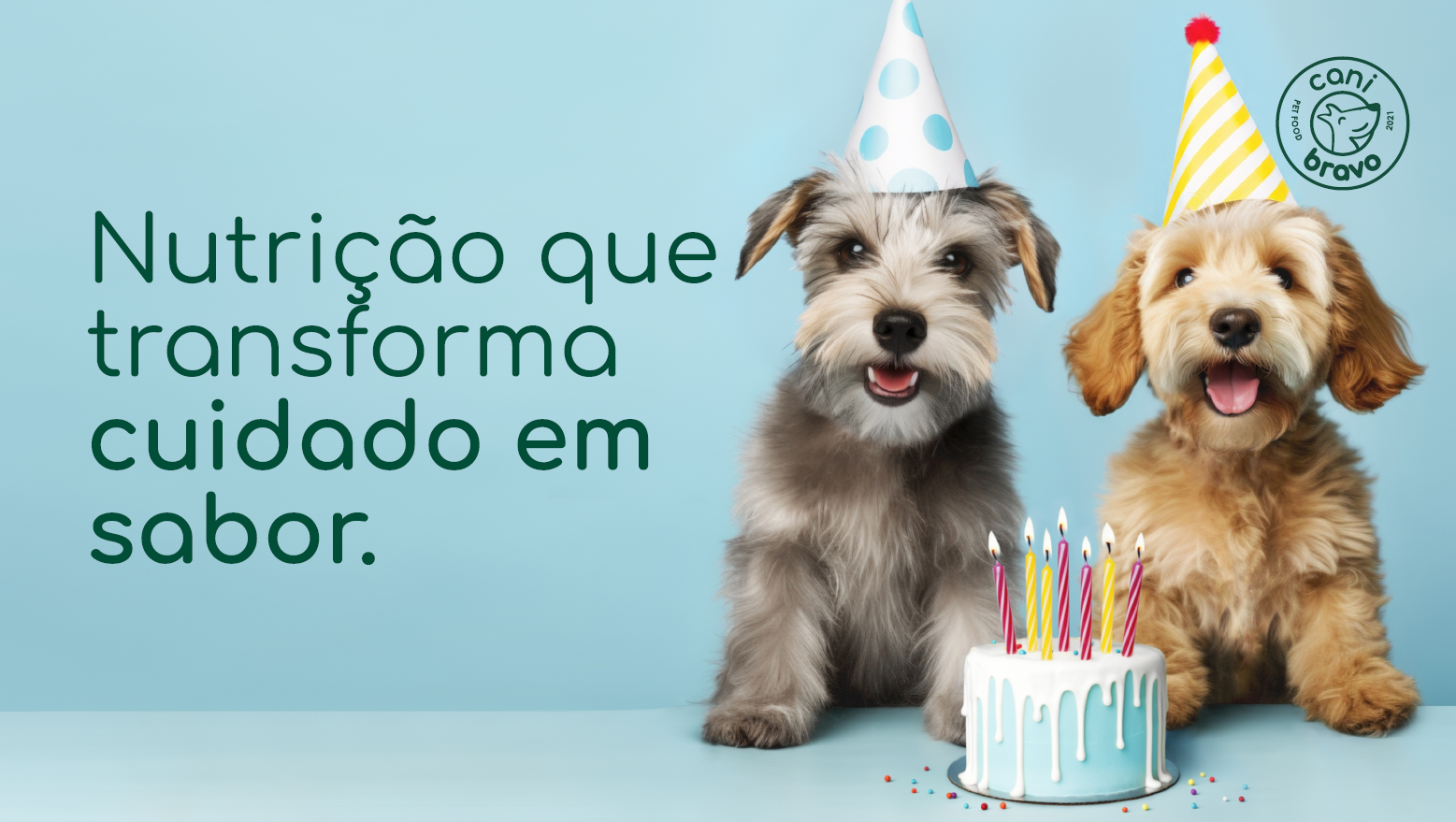 Festas de Aniversário